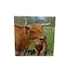 image 2 of Milford Collection Ceramic Coaster Highland Cow Design 10x10cm