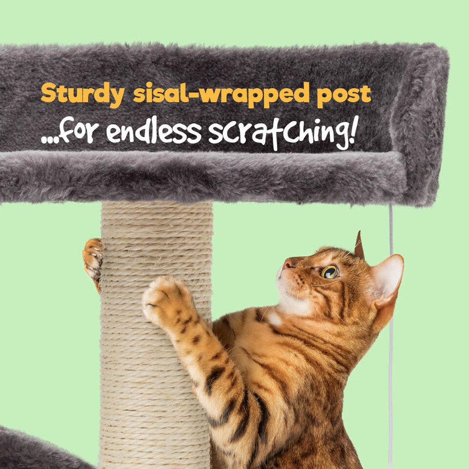 image 1 of Cat Bed with Scratch Post Grey