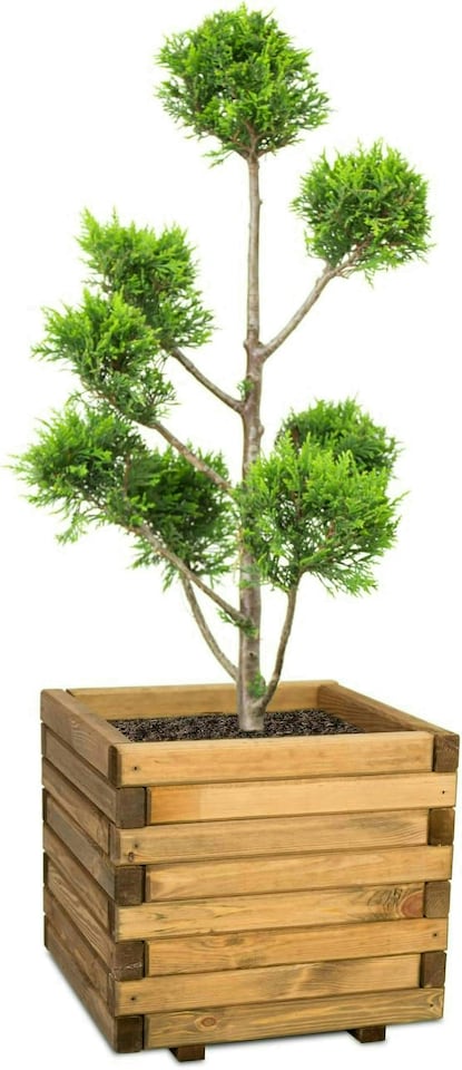 image 1 of Primrose Wooden Pine Raised Cube Planter Treated Pine & Responsibly Sourced 50cm