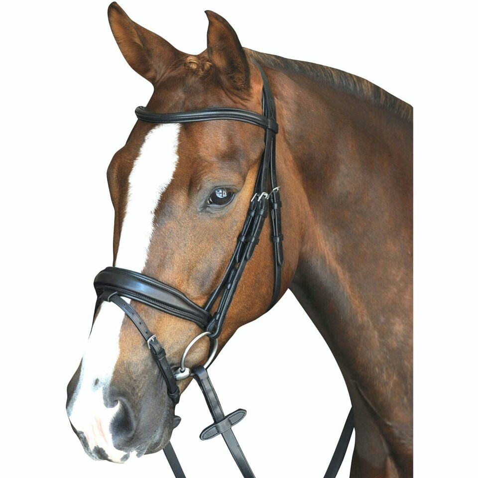 Collegiate Mono Crown Padded Raised Leather Flash Bridle - Black - Full