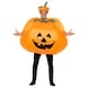 image 1 of Inflatable Pumpkin Fancy Dress Halloween Costume Unisex Adult One Size