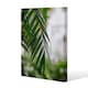 image 1 of Closeup of green palm leaf (Canvas Print) 46 x 31 x 4cm