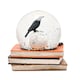 image 4 of Widdop Gifts Skull and Crow on Spell Books Halloween Globe