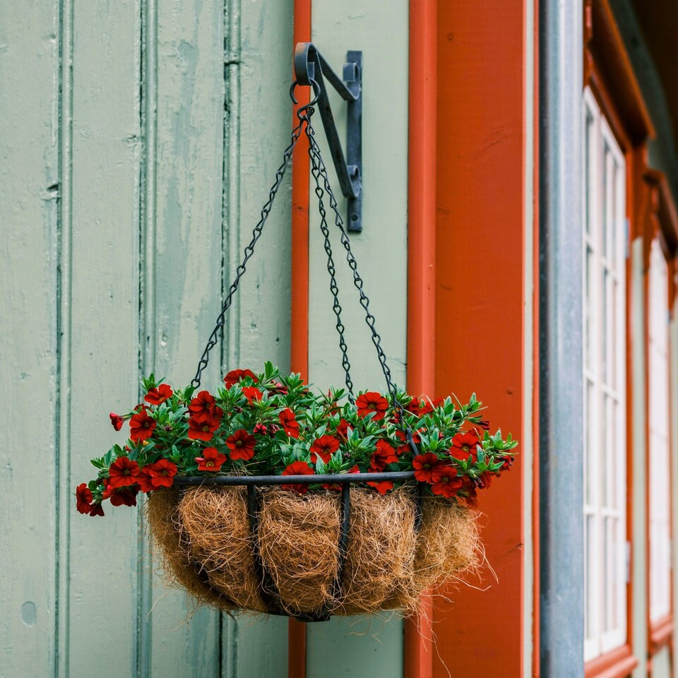 image 1 of Container & Hanging Basket Compost with 9 Month Feed - 65L - Water Less Formula - Perfect for Pots, Tubs & Baskets