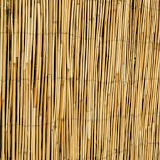 Natural Screening Roll Privacy Peeled Reed Wind Sun Protection 3m x 1.5m Primrose
