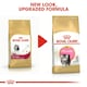 image 3 of Royal Canin Cat Persian Kitten 4KG