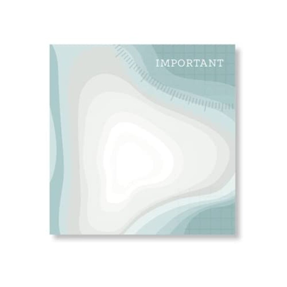 Trigg Stickies Important - 19 Stationery - STATIONERY - 9781912295449 N/A
