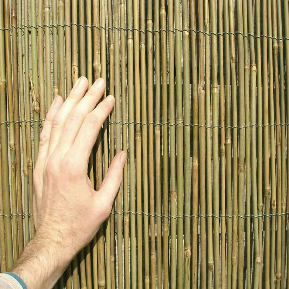 image 1 of Bamboo Cane Screening Roll Natural Fencing 3m x 1.5m