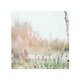 image 1 of Wild Daisies Splash Back | White