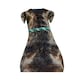 image 2 of Weatherbeeta Rope Leather Dog Collar - Hunter Green/Brown - S