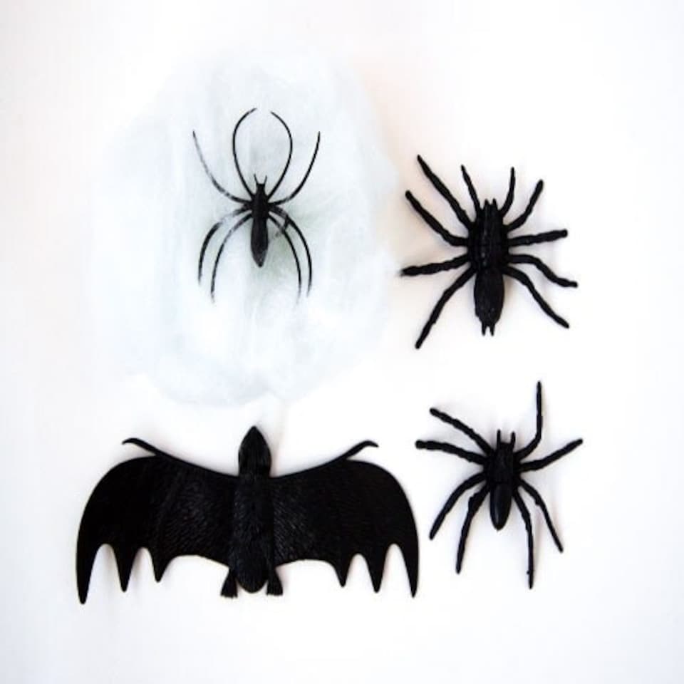 image 1 of Assorted Halloween Creatures with Cobweb Set