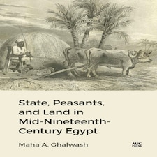 State Peasants/land Mid 19th Cent Egypt