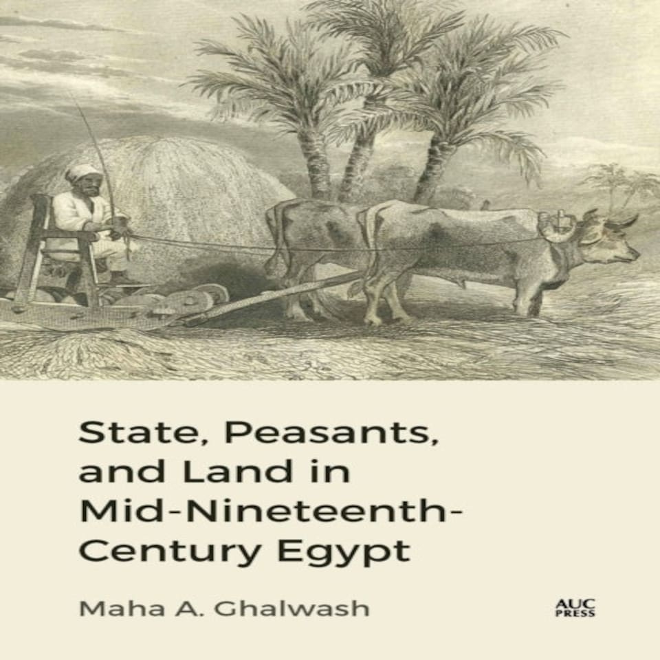 State Peasants/land Mid 19th Cent Egypt