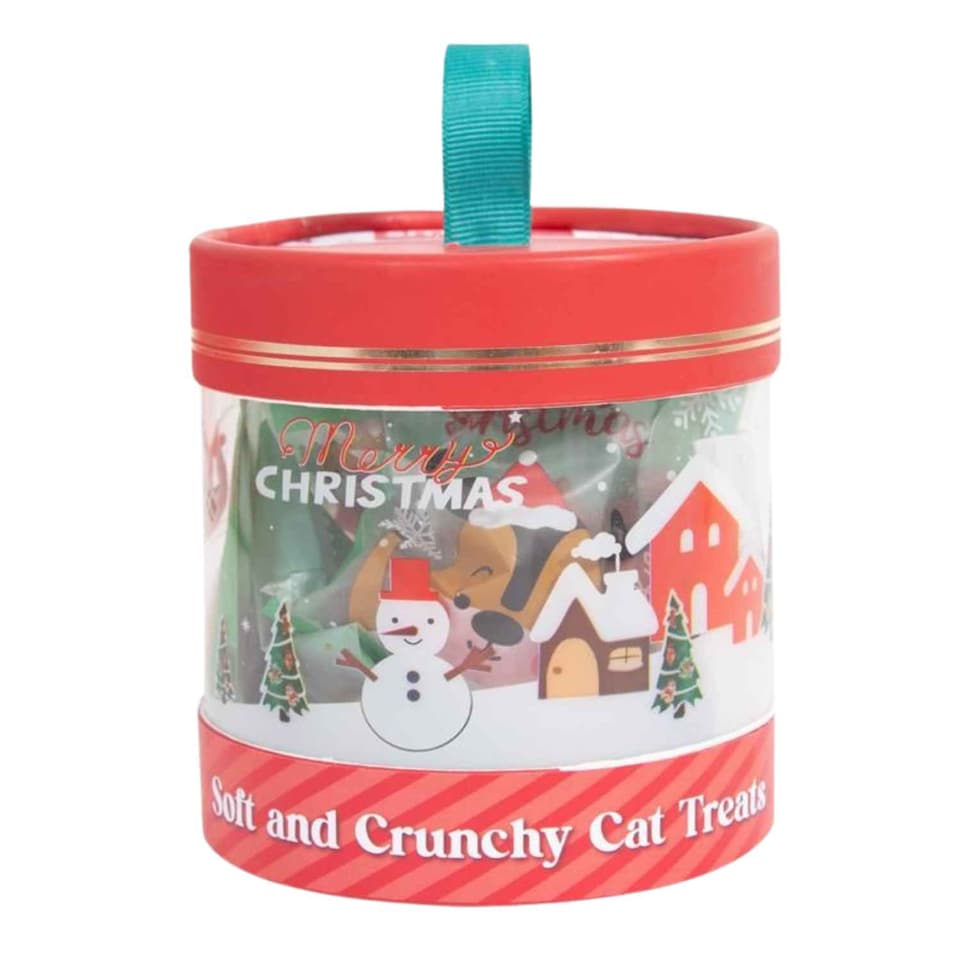 Christmas Christmas Set 10 Crunchy Pillow Catnip Beef Chicken Salmon pet food packaging