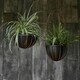 image 3 of Indoor Tall Kensington Hanging Planter Bronze