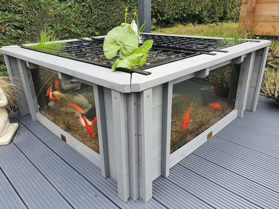 image 1 of Raised square pond with large windows Lotus Clear View Garden Aquarium in Grey