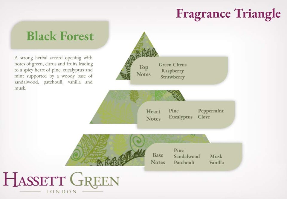 image 1 of Hassett Green London - Black Forest Pine & Eucalyptus - Scented Wooden Balls Pack of 12 plus 30ml Bottle of Home Fragrance Oil for Refreshing - Alternative to Pot Pourri, Diffusers and Drawer Liners
