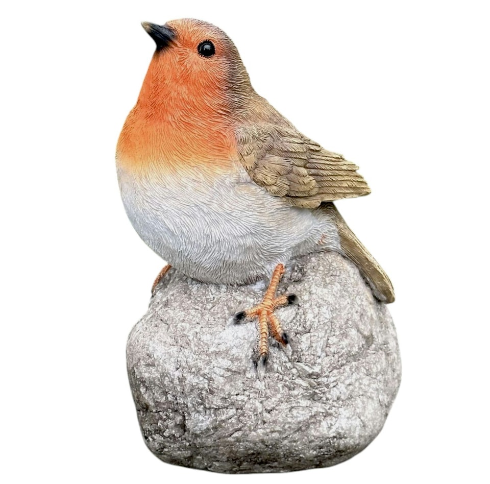 image 1 of Remembrance Robin with 'When I Appear Your Loved Ones Are Near' Sign Memorial Ornament
