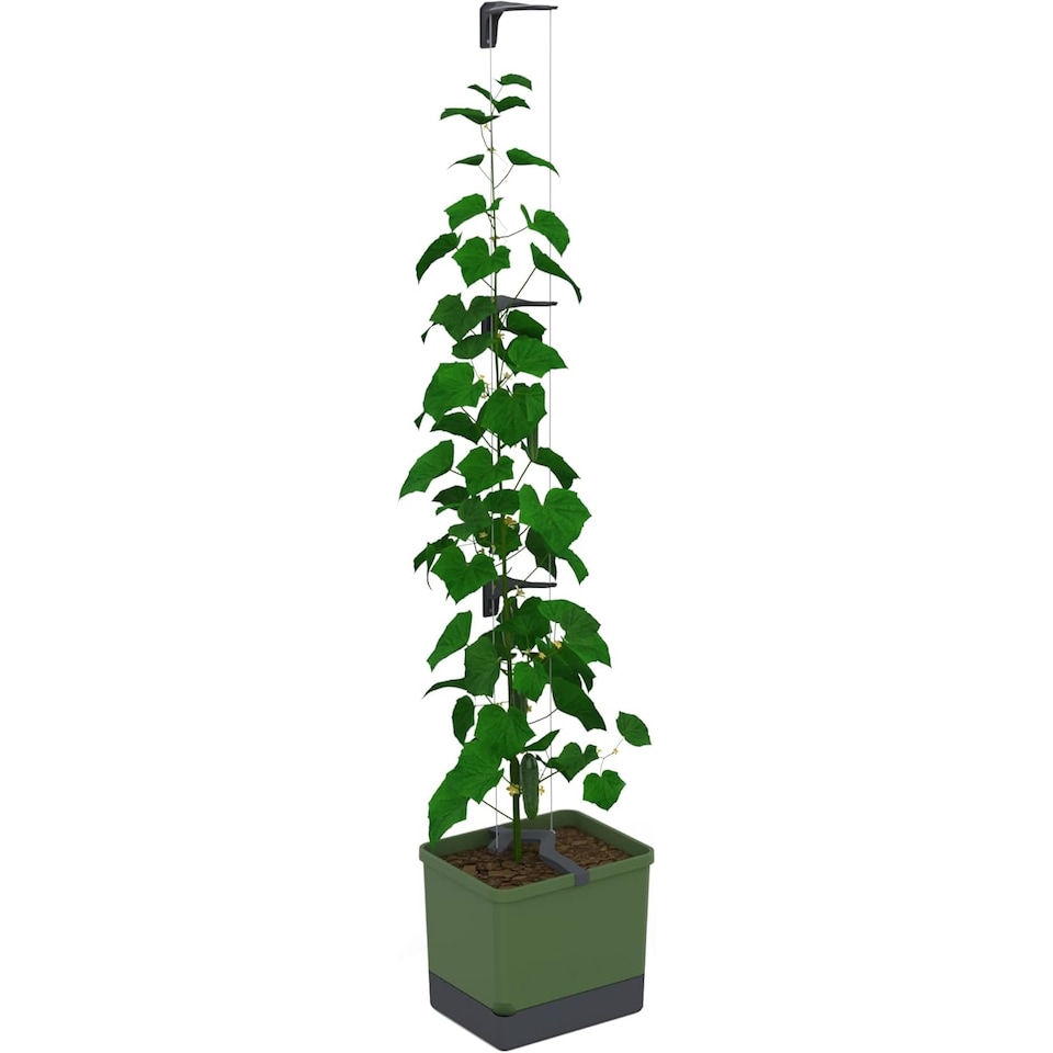 image 1 of GUSTA GARDEN Curt Cucumber Pot - Plant Pot with Trellis for Cucumbers, Irrigation System (Dark Green)