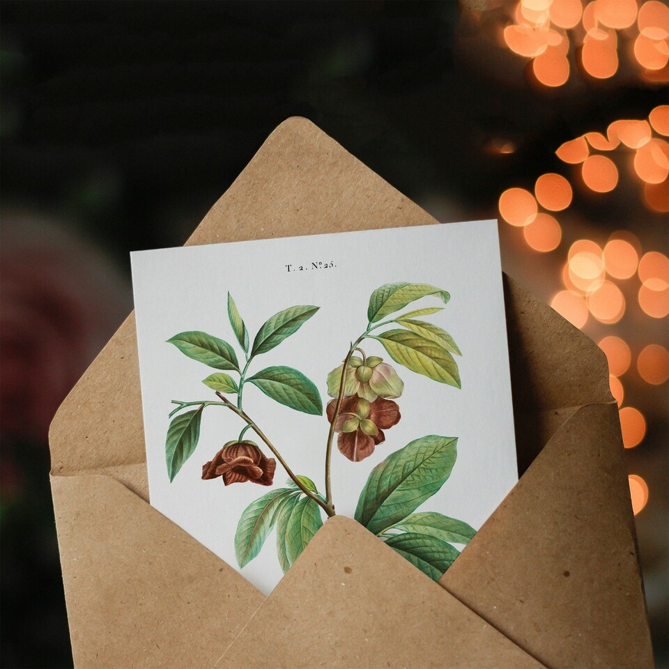 image 1 of Pierre-Joseph Redouté Art Card Papaw Tree Vintage Botanical