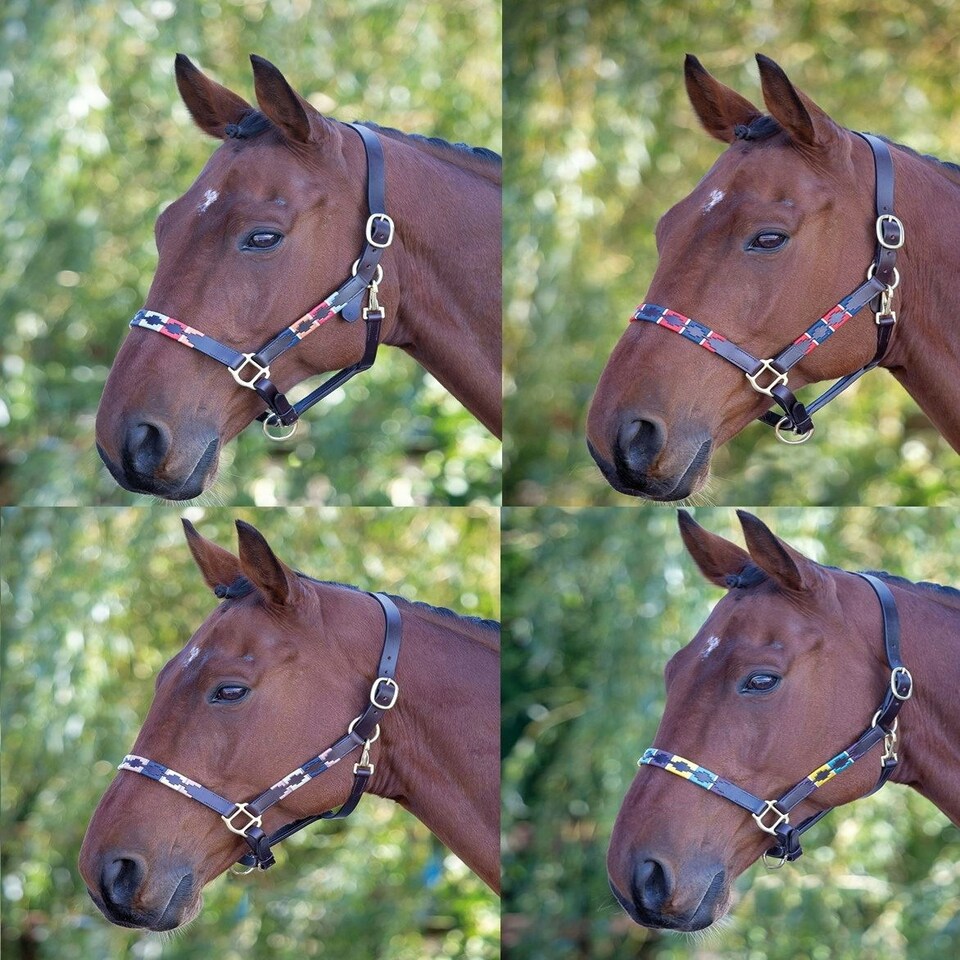 image 1 of Shires Blenheim Leather Polo Headcollar Blue | Colour: Purple/Natural/Navy
Size: Full