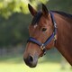 image 4 of ARMA Padded Headcollar Black | Colour: Black Cherry
Size: Cob
