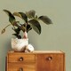 image 1 of Superfresco Easy Amour Sage Texture Wallpaper Green | Green