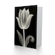 image 2 of Single Tulip Flower Folk Lover Wife Birthday Card