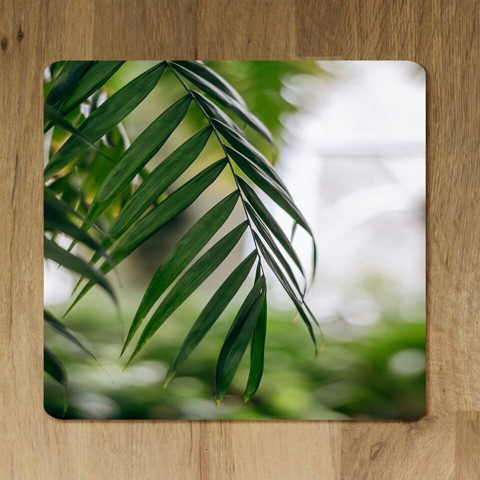 image 1 of Closeup of green palm leaf (Placemat & Coaster Set)