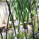image 2 of Gothic Arch Garden Edge in Black Black