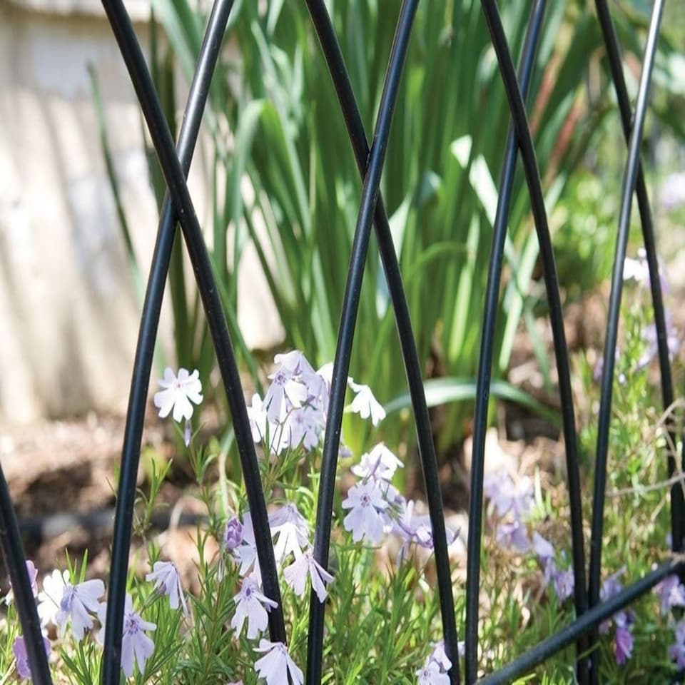 image 1 of Gothic Arch Garden Edge in Black Black