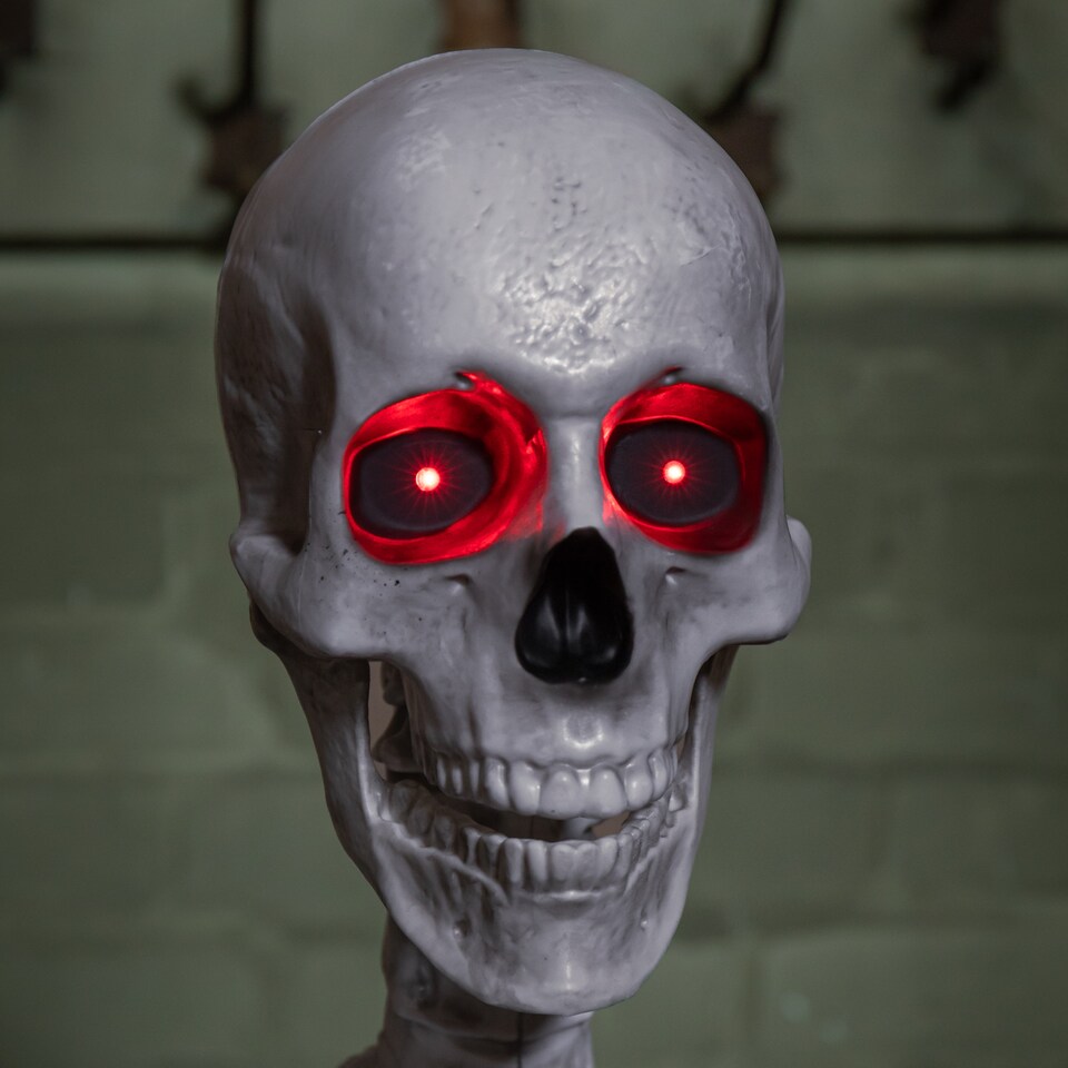 image 1 of 5ft (1.5m) Full Body Halloween Standing Skeleton with Posable Joints & Red LED Eyes