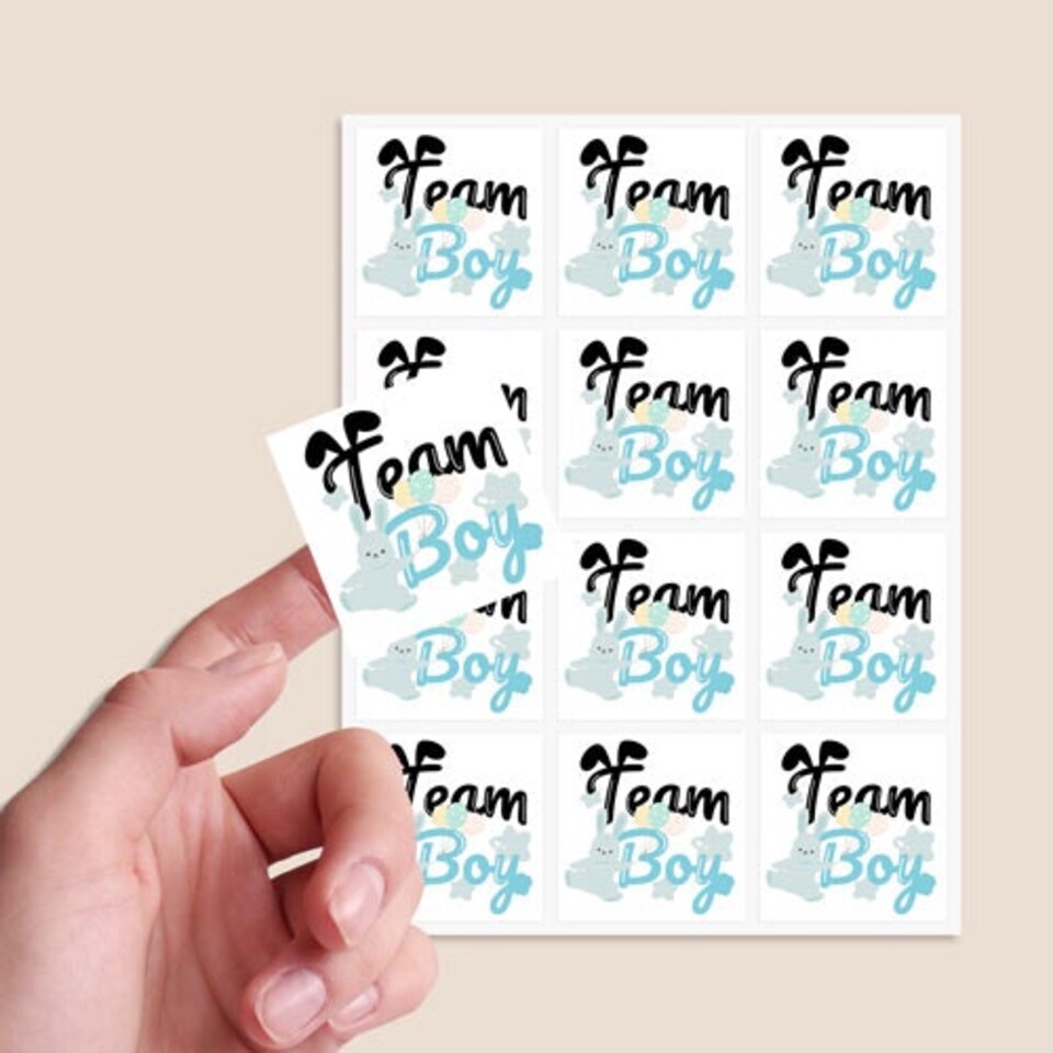image 1 of Team Boy Bunny Gender Reveal Square Stickers 65mm - Sheet of 12