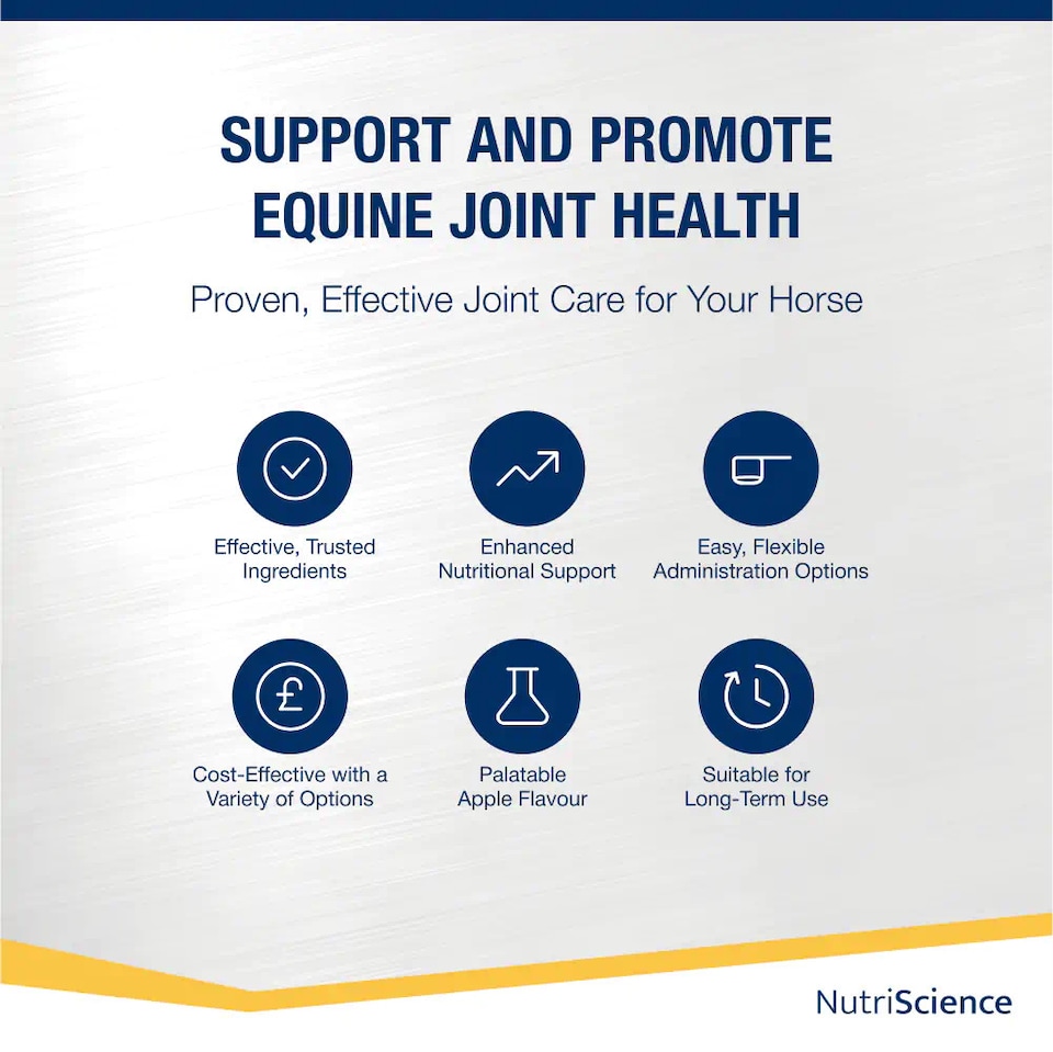 image 1 of NutriScience Horse Joint Supplement Glucosamine MSM Chondroitin Mobility Powder 3kg