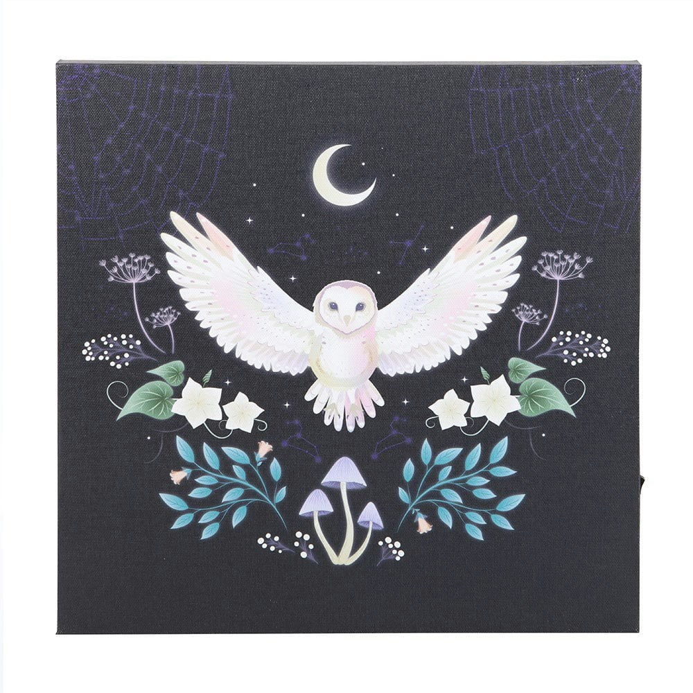 Something Different Night Owl Light Up Canvas - Multicoloured - One Size Multi