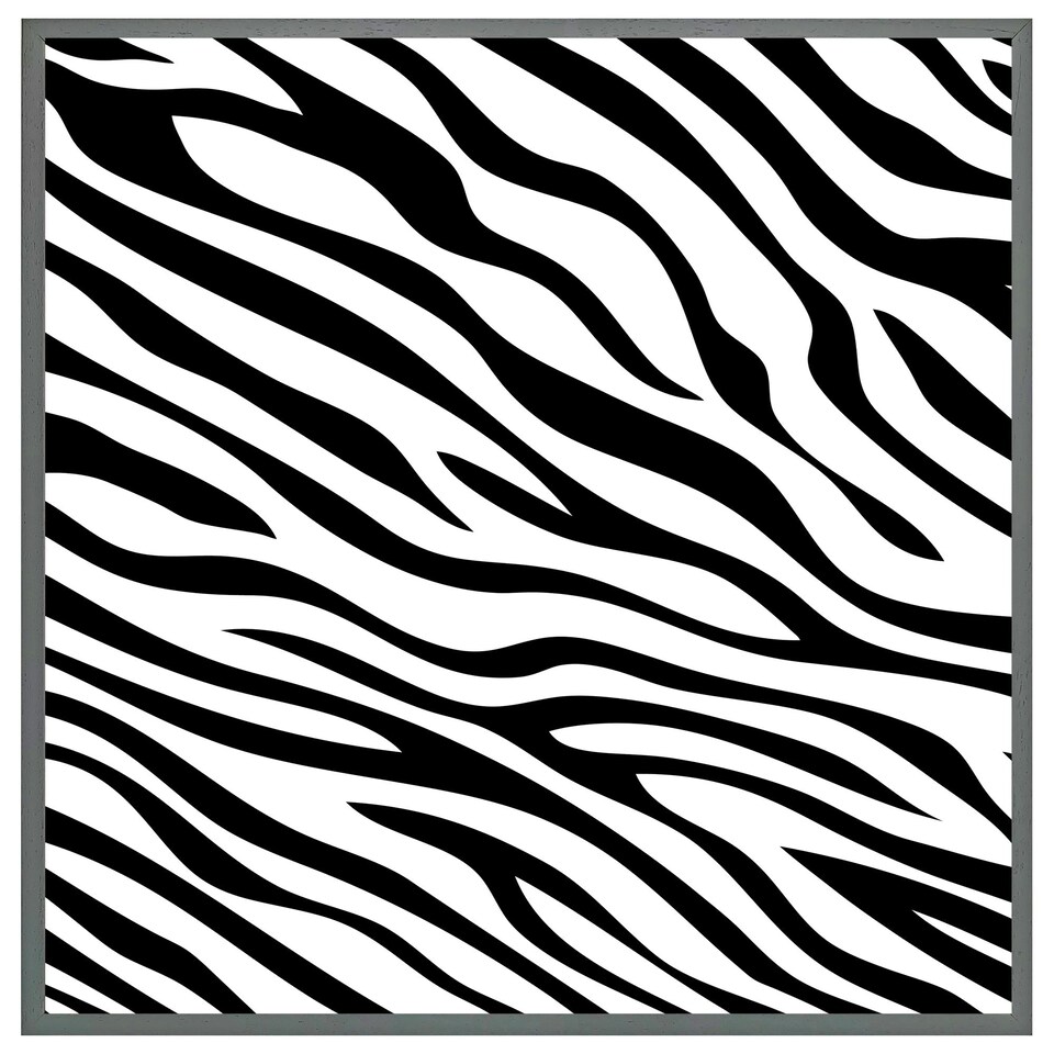 image 1 of Zebra print (Picture Frame) Black | S
