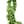 Apple Green