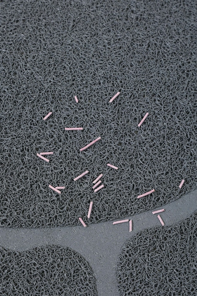 image 1 of M-PETS PAW Cat Litter Mat Grey