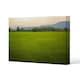 image 1 of image of lush grass field (Canvas Print) 31 x 41 x 4cm