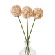 image 3 of The Natural Garden Collection White & Apricot Allium - Artificial Flower (Single Stem) - Plastic - H56 cm - White