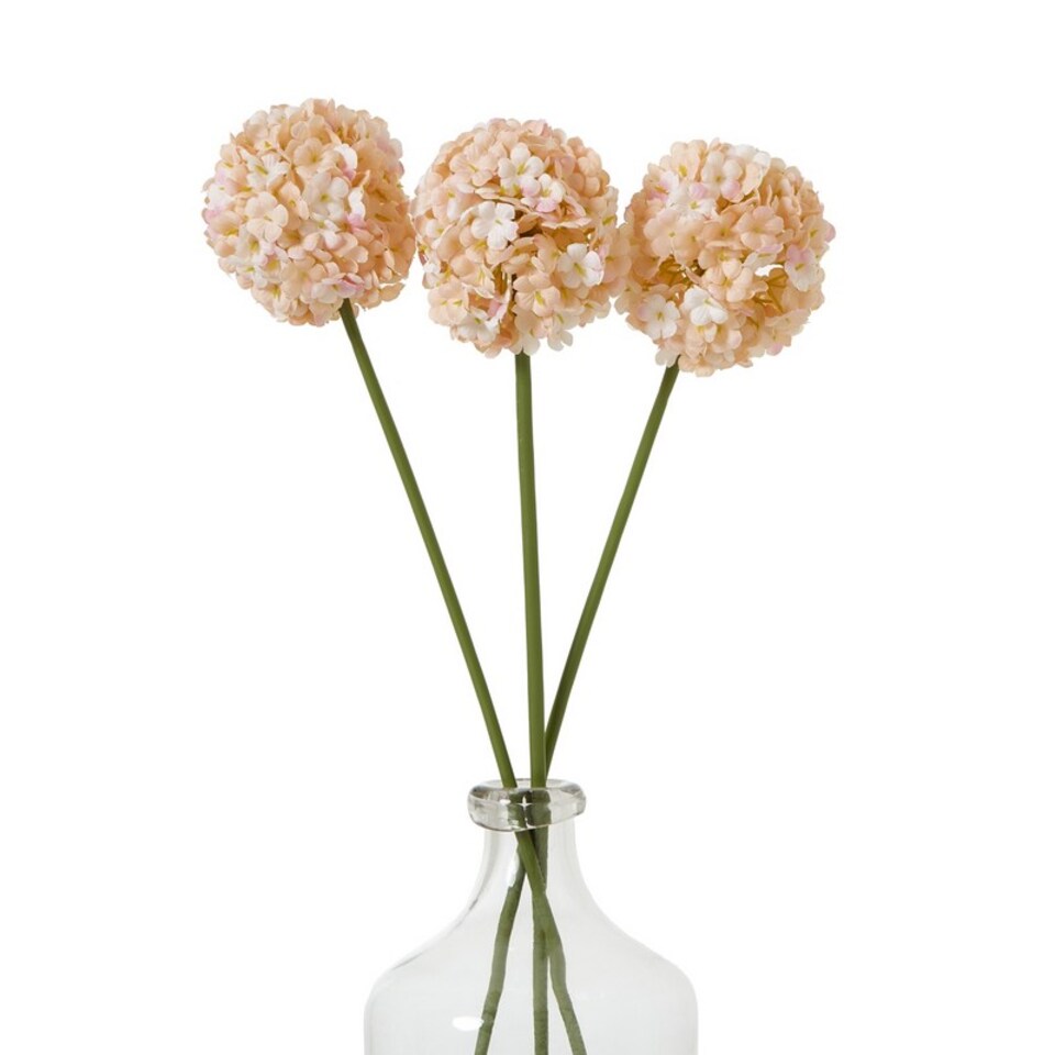 image 1 of The Natural Garden Collection White & Apricot Allium - Artificial Flower (Single Stem) - Plastic - H56 cm - White