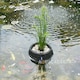 image 5 of LAGUNA 10" FLOATING BASKET
