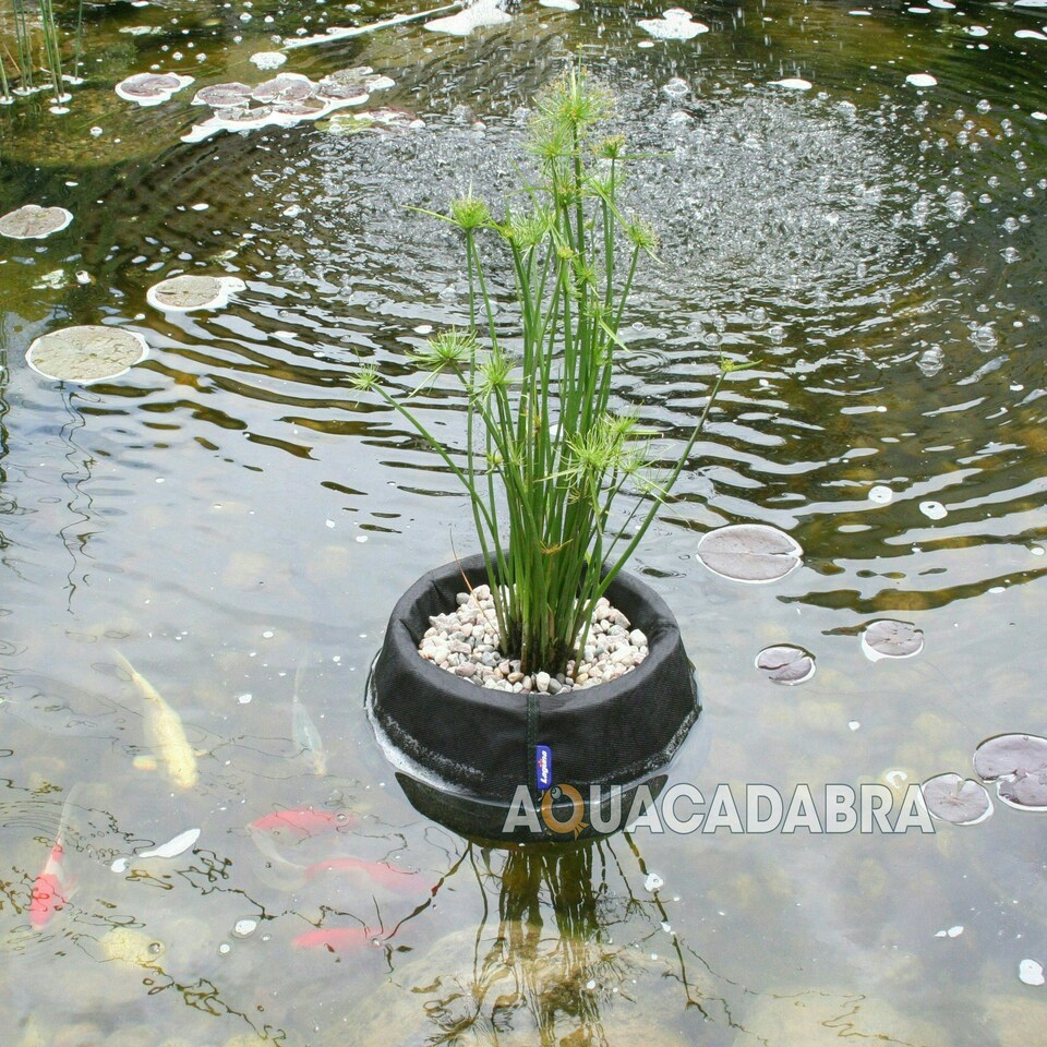 image 1 of LAGUNA 10" FLOATING BASKET