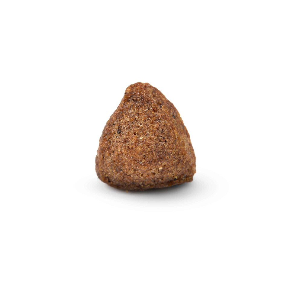 image 1 of Arden Grange Adult Dog Food With Fresh Pork and Rice - 2kg