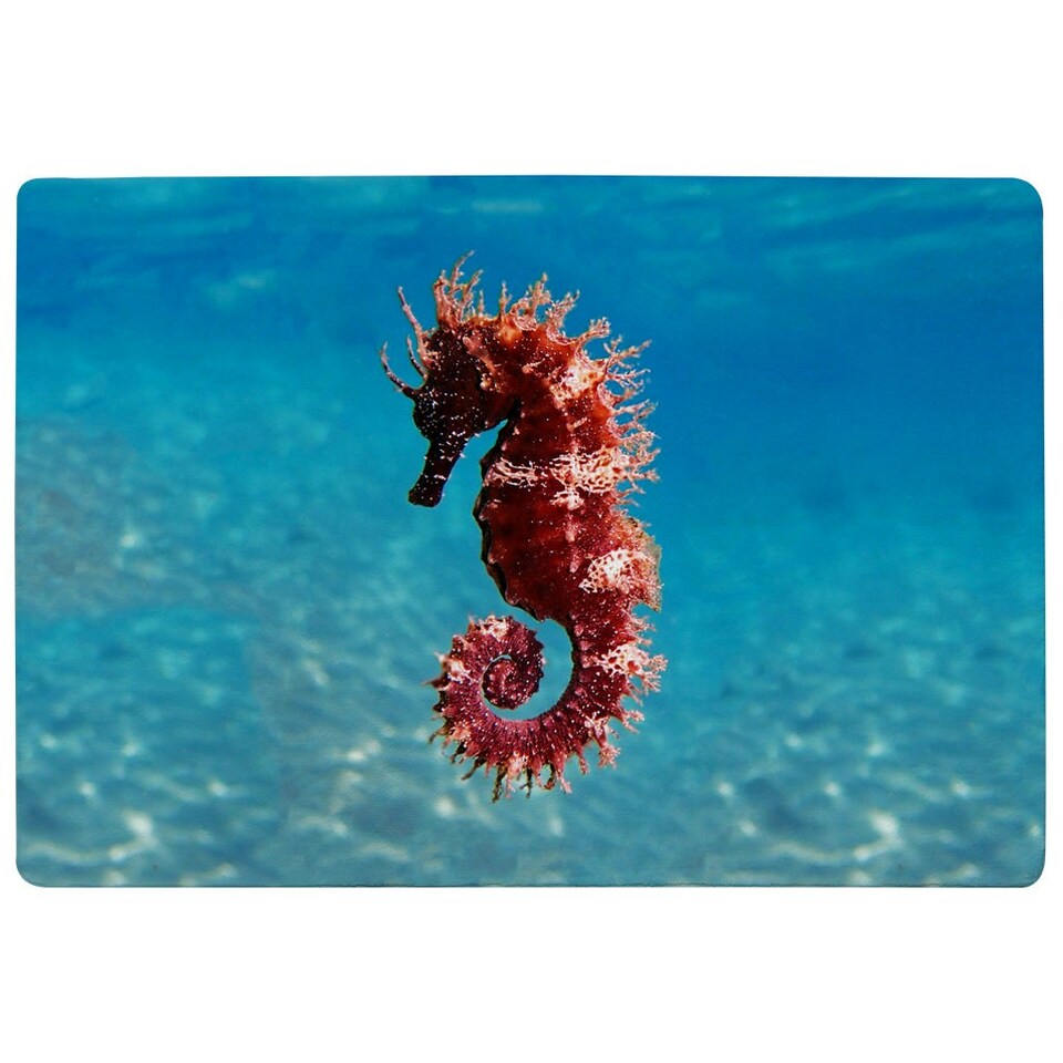image 1 of Mediterranean Seahorse (Rug) Blue | M