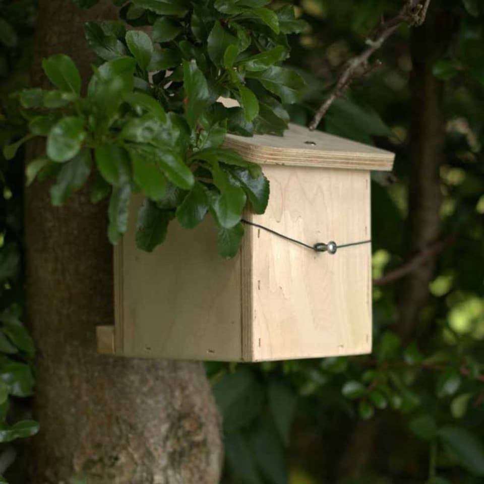 image 1 of Dormouse Nest box - Plywood - L15 x W13 x H21 cm Brown | One Size