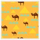 image 1 of Camels & pyramids (Picutre Frame) White | XS