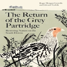 The Return Of The Grey Partridge