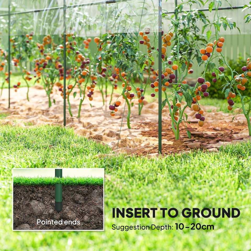 image 1 of Outsunny Tomato Greenhouse with Top Tap, Pointed Bottom and Guy Ropes, Clear