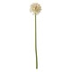image 3 of Hill Interiors Allium Stem Artificial Plant - Pink - 75cm